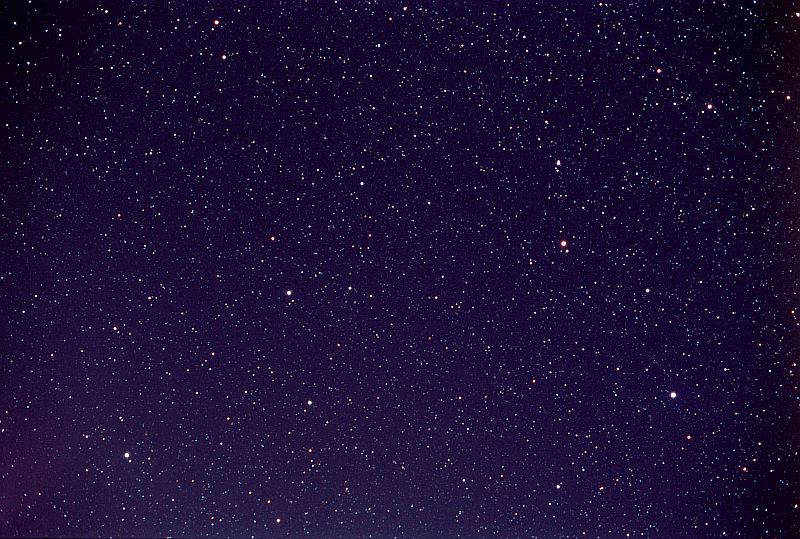 Sternbild L�we am 12.1.2005 in Sonnenb�hl-Genkingen