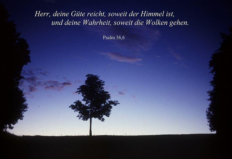 Bibelspr�che auf eigenen Bildern