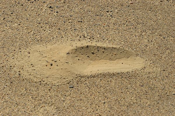 Ich setzte meinen Fu� in den Sand