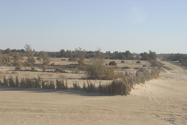 Oase Jalu in Libyen