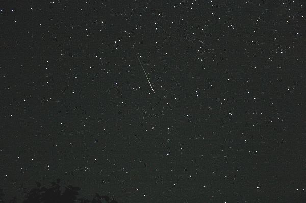 Leoniden und Perseiden sind die besten Sternschnuppenstr�me auf der Nordhalbkugel