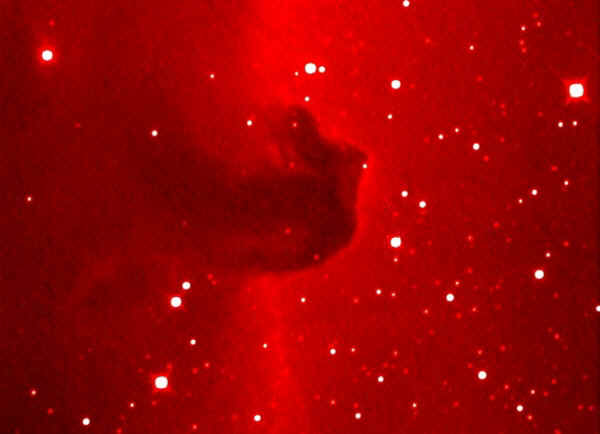 Warum der Pferdekopfnebel so hei�t d�rfte klar sein.