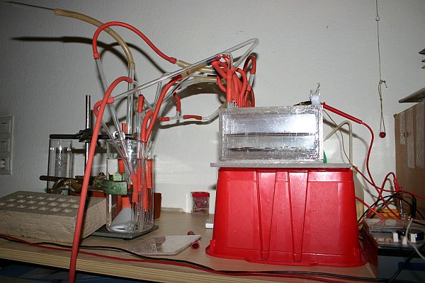 Wasserstoffanlage - Modellprojekt f�r Schulen?