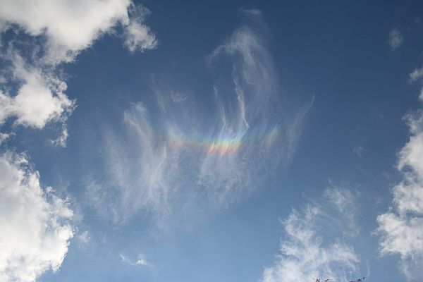 Zirkumzenitalb�gen sind Halo-Erscheinungen.